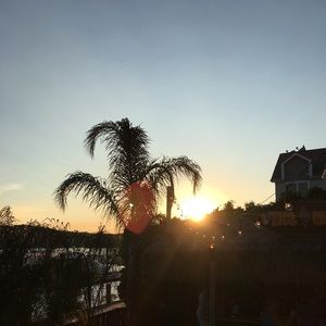 Meet your Posher, Josh